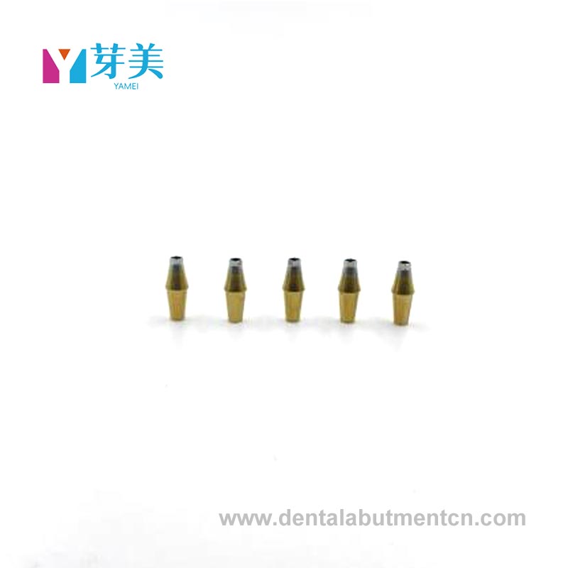 Mabutment giả: 